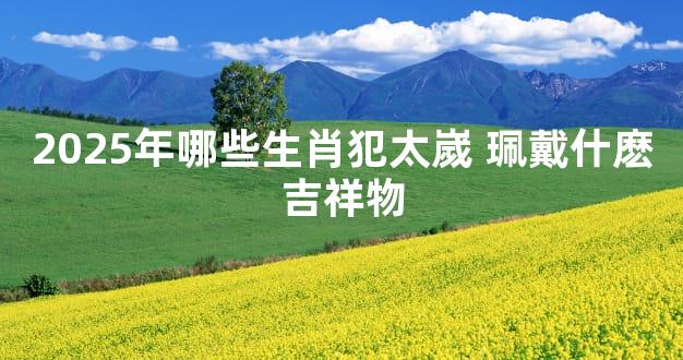 2025年哪些生肖犯太嵗 珮戴什麽吉祥物